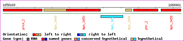 gene map