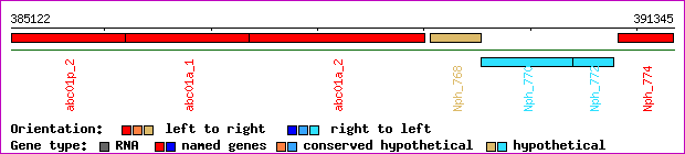 gene map