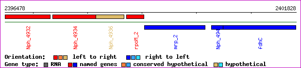 gene map