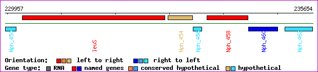 gene map