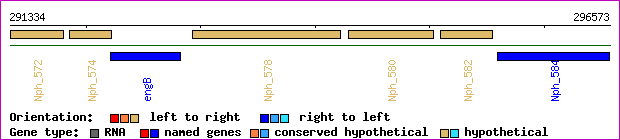 gene map