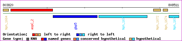 gene map