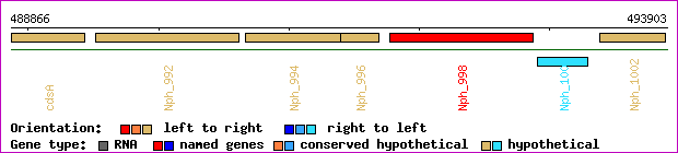 gene map