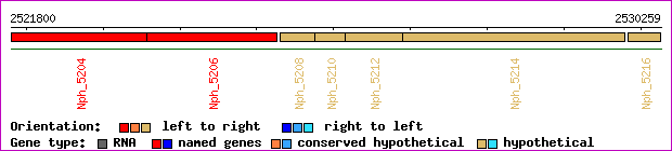 gene map