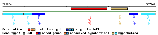 gene map