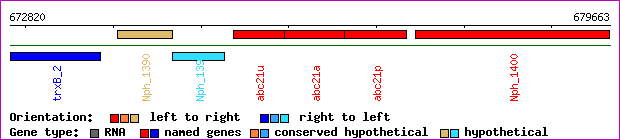 gene map