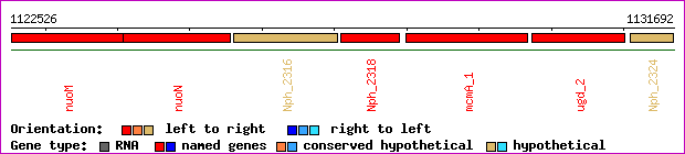 gene map