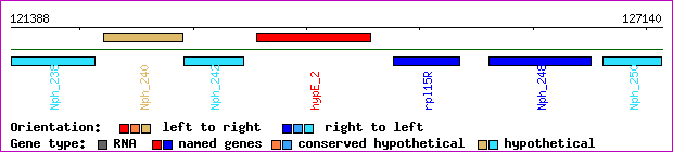 gene map