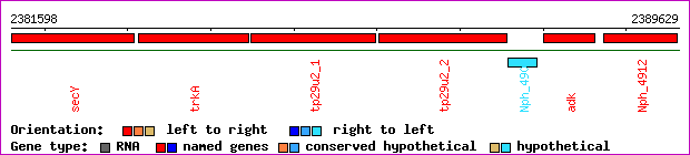 gene map