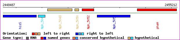 gene map