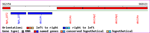 gene map