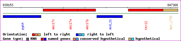 gene map