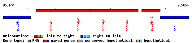 gene map