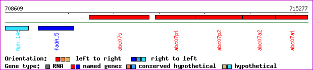 gene map