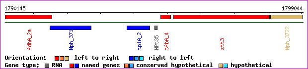 gene map