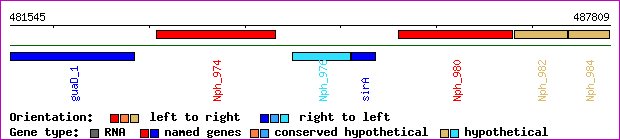 gene map