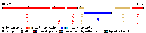 gene map