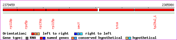 gene map