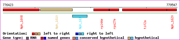 gene map