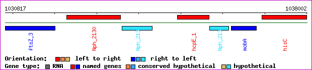 gene map