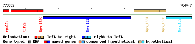 gene map