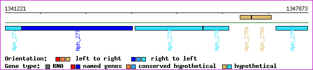gene map