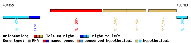 gene map