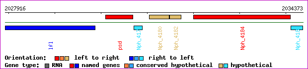gene map