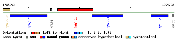 gene map