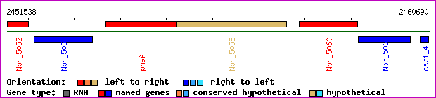gene map