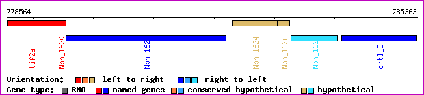 gene map