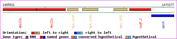 gene map