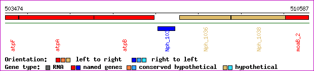 gene map