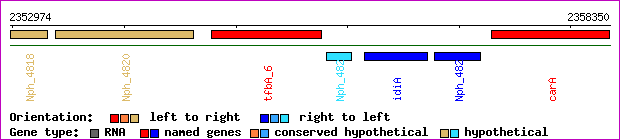 gene map
