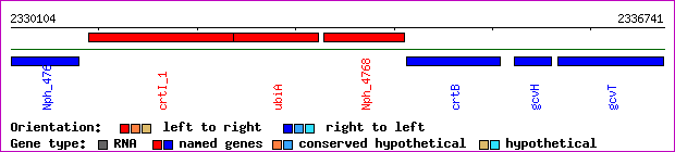 gene map