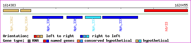 gene map