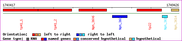 gene map