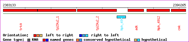 gene map