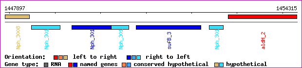 gene map