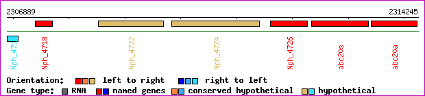 gene map