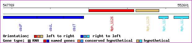 gene map