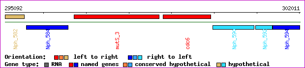 gene map