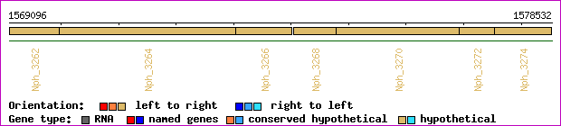 gene map