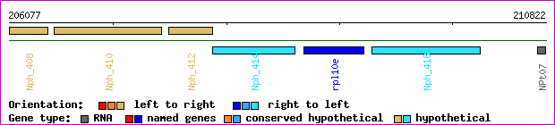 gene map