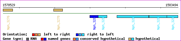 gene map