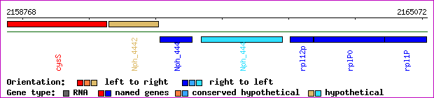 gene map