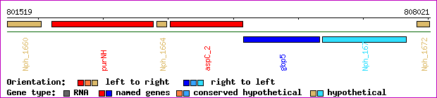 gene map