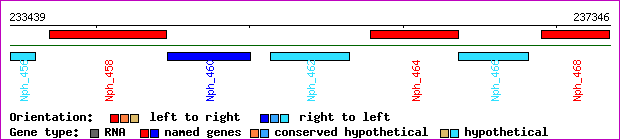 gene map