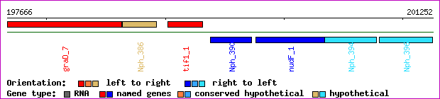 gene map