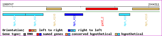 gene map